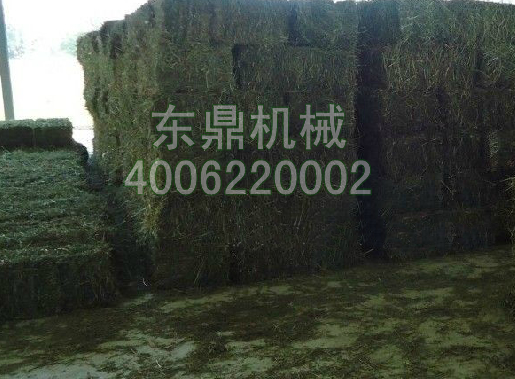 网带式牧草烘干机