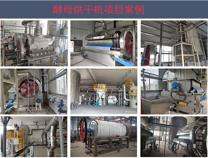 酵母烘干机合作项目案例